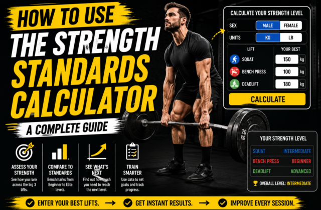 How to Use the Strength Standards Calculator: A Complete Guide
